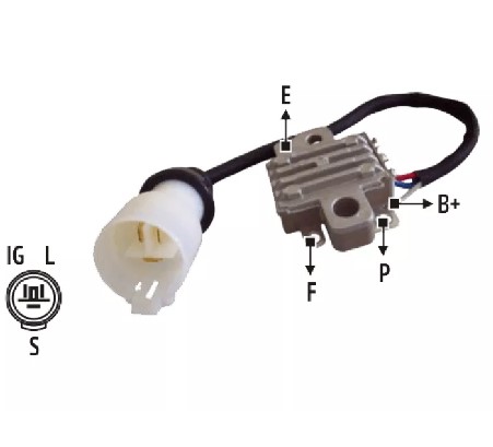 IMG-PRODUCT